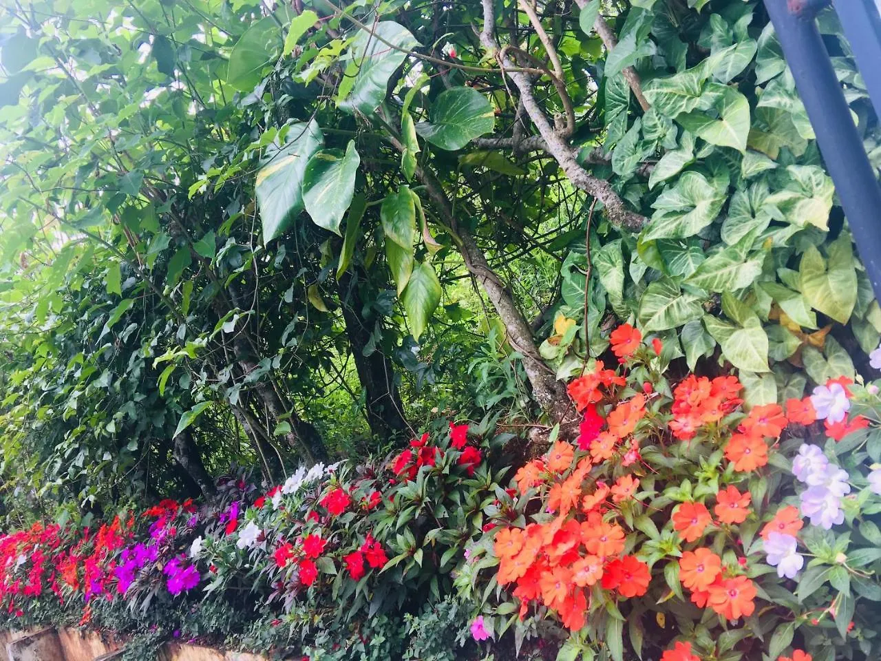 Bed & Breakfast Lizmerrycasa Homestay Munnar